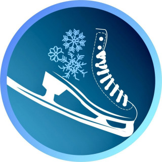 МУНИЦИПАЛЬНОЕ БЮДЖЕТНОЕ УЧРЕЖДЕНИЕ &quot; ДИРЕКЦИЯ СПОРТИВНЫХ СООРУЖЕНИЙ С ИСКУССТВЕННЫМ ЛЬДОМ Г. ДОНЕЦКА&quot;